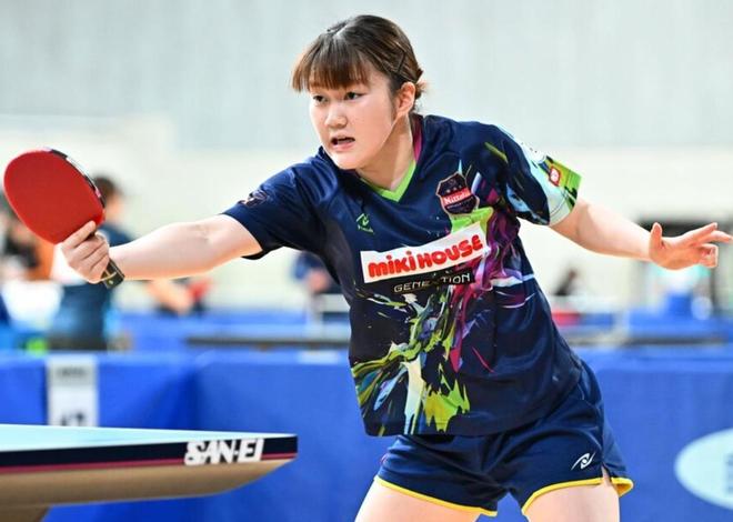 法的范畴内 法的范畴内