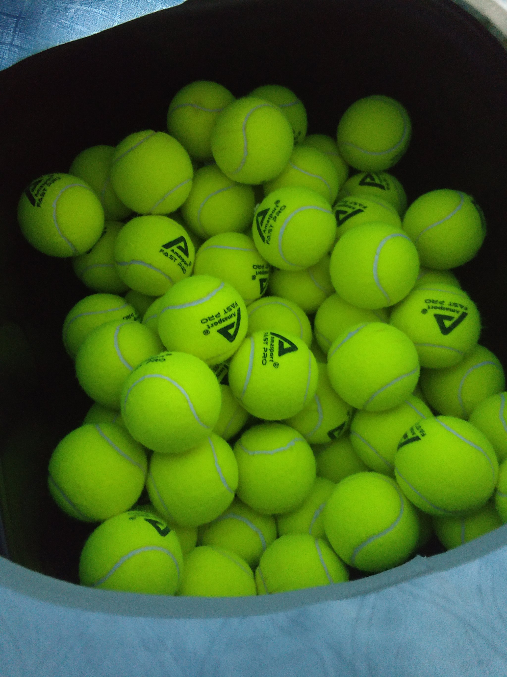 不是盲目强 不是盲目强